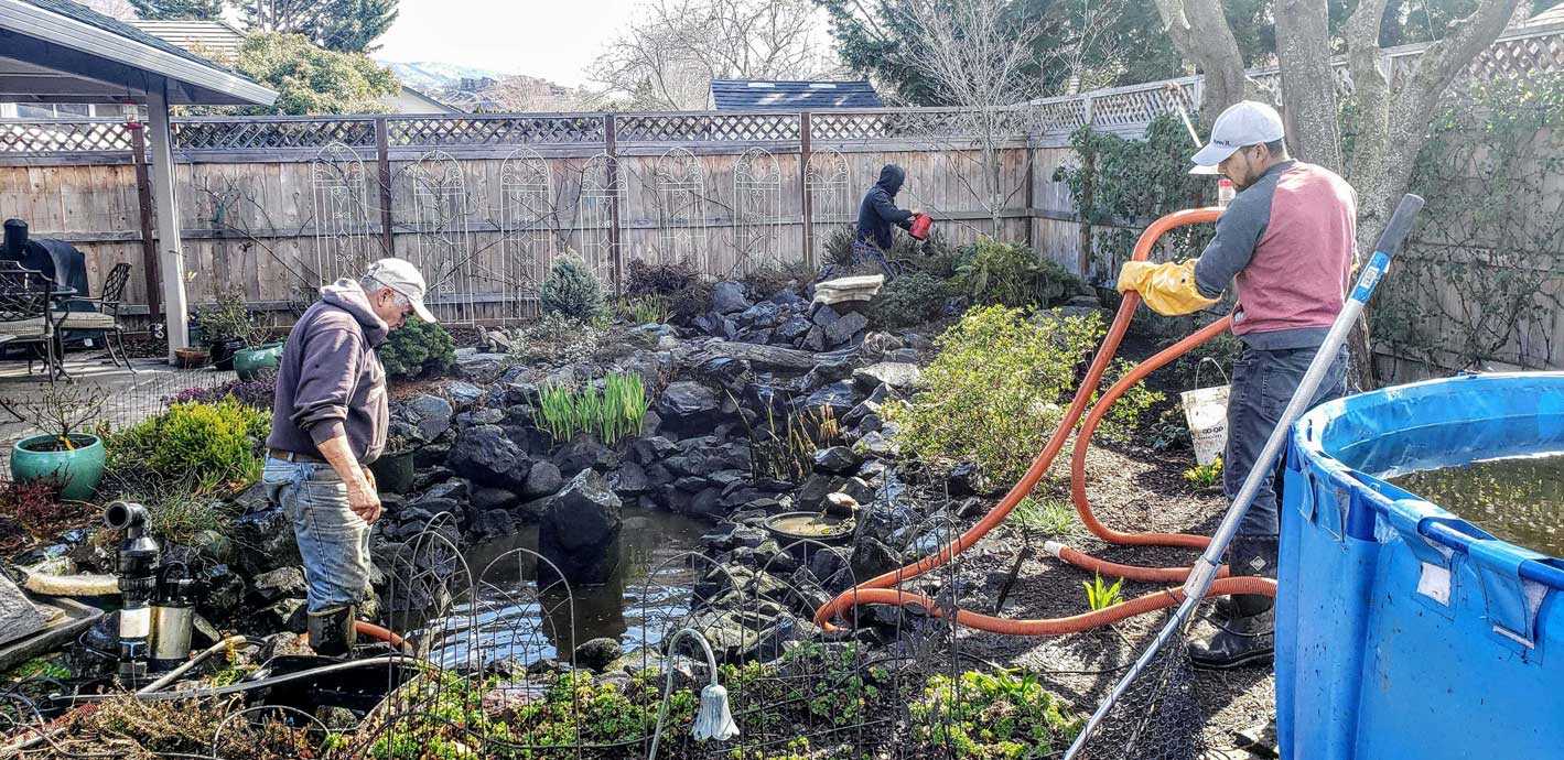 Pond Spring Cleanout Medford Oregon Andreatta Waterscapes